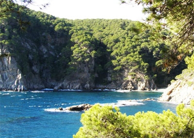 Cala Pedrosa