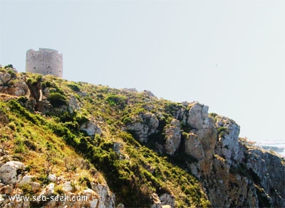 Punta Mongo (Pta Trenca Brasos)