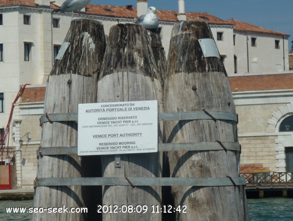 Punta della Salute Venezia