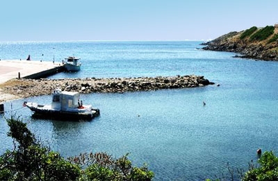 Cala d'Oliva (I. Asinara - Sardegna)