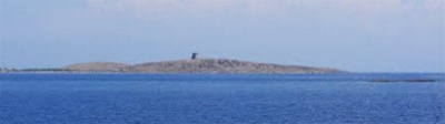 Punta Trabuccato (I. Asinara - Sardegna)