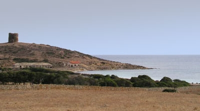 Punta Trabuccato (I. Asinara - Sardegna)