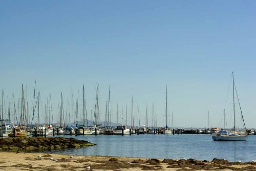 Geelong Geelong