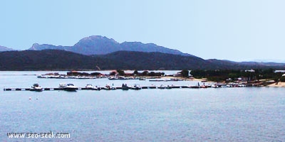 Portisco marina di Cugnana (Sardegna)
