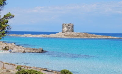 Capo del Falcone (Sardegna)