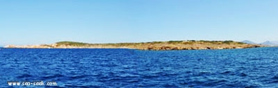 Isola di Soffi (Sardegna)