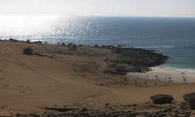 Punta Dallas (Atacama N Chile)