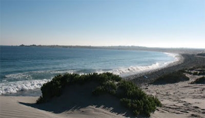 Caleta del Medio (Atacama N Chile)