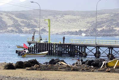 Puerto Carrizal Bajo (Atacama N Chile)