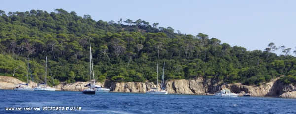 Pointe de l'Alicastre (Porquerolles)