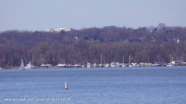 Belle Haven Marina