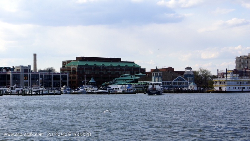 Alexandria City Marina