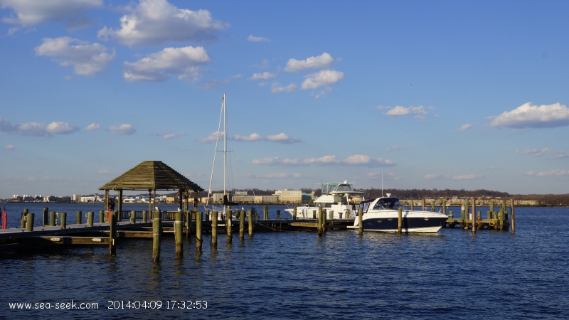 Alexandria City Marina