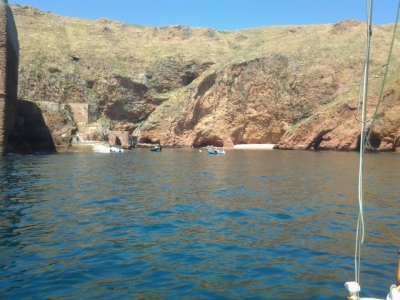 Ilha de Berlenga Grande