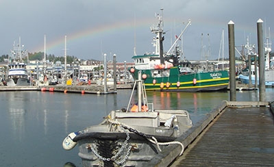 Kodiak harbor