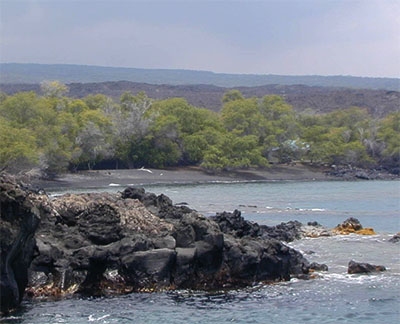 Okoe bay (Hawaii I)