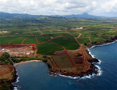 Wahiawa Bay (Kauai)