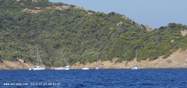 Calanque Longue (Port-Cros)