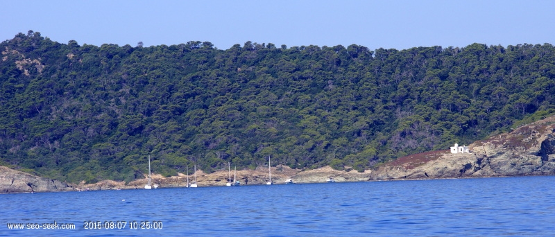 Anse de la Galère (Porquerolles)