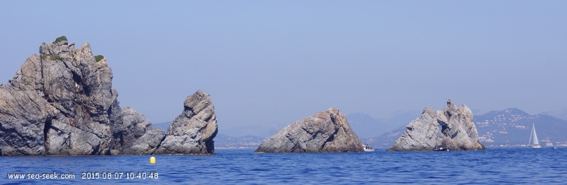 Cap des Mèdes (Porquerolles)