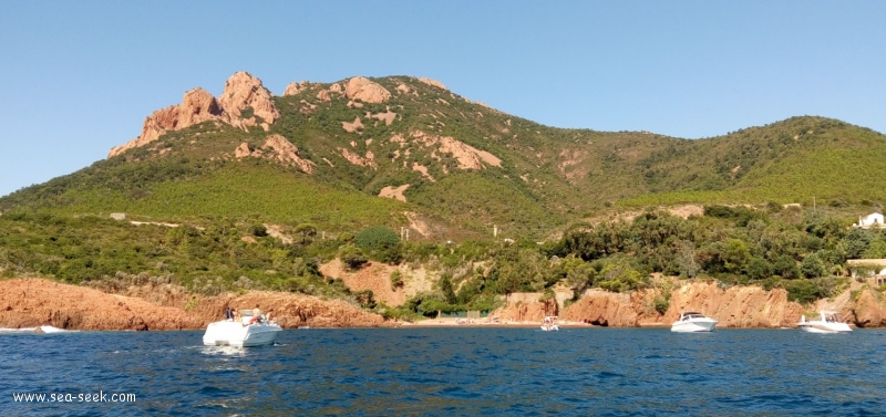 Pointe du Cap Roux (Les Trayas)