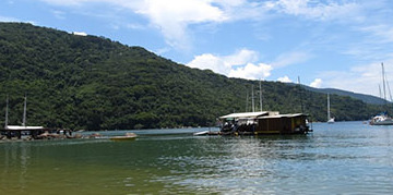 Enseada das Palmas (Ilha Grande)