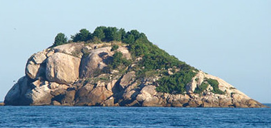 Ilha Pau a Pino (Bahia Ilha Grande )