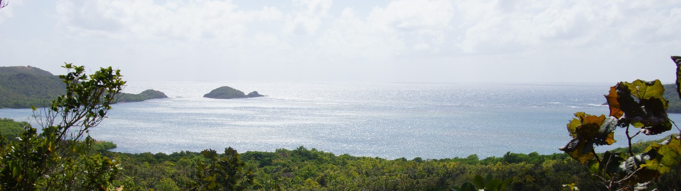 Baie du Trésor