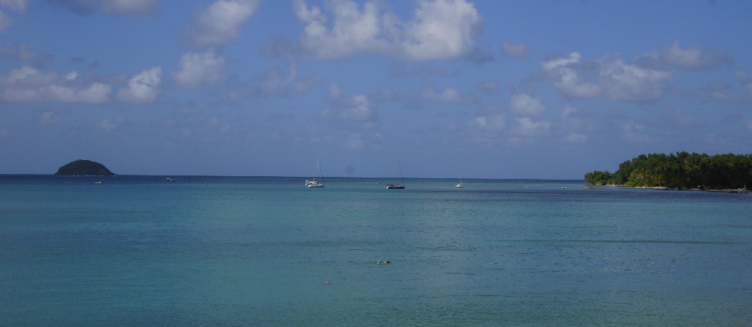 Baie des Raisiniers