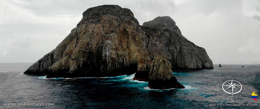 Malpelo island