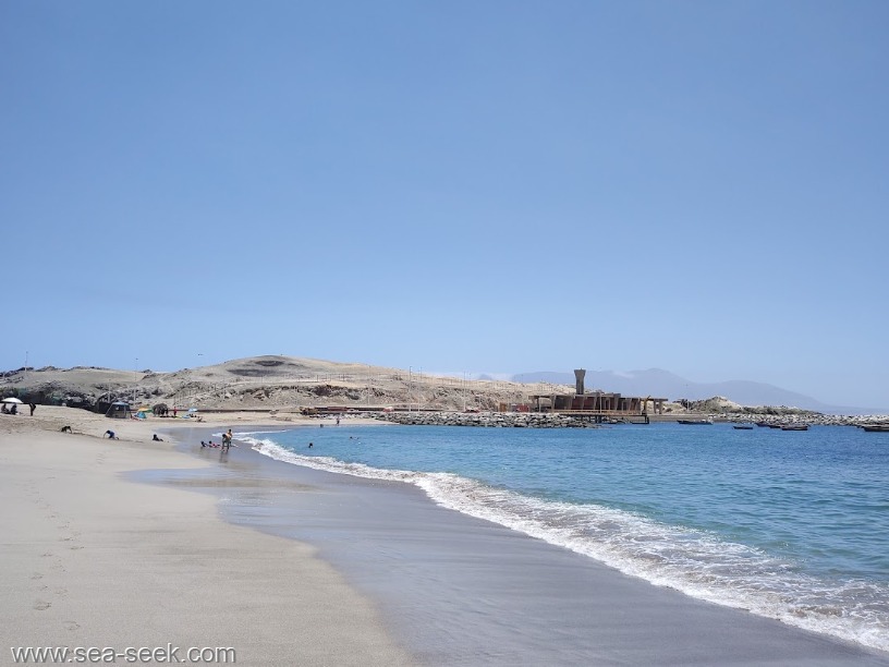 Isla Guaman (Antofagasta N Chile)