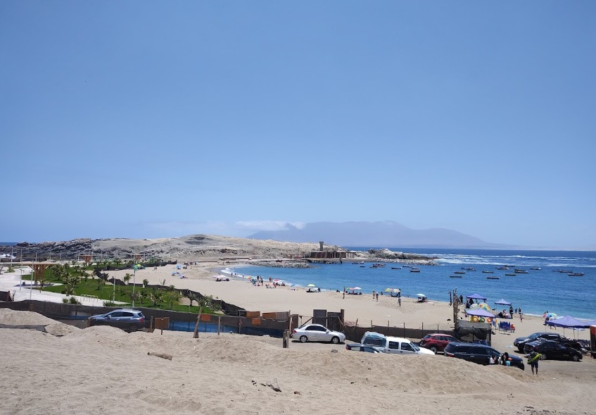 Isla Guaman (Antofagasta N Chile)