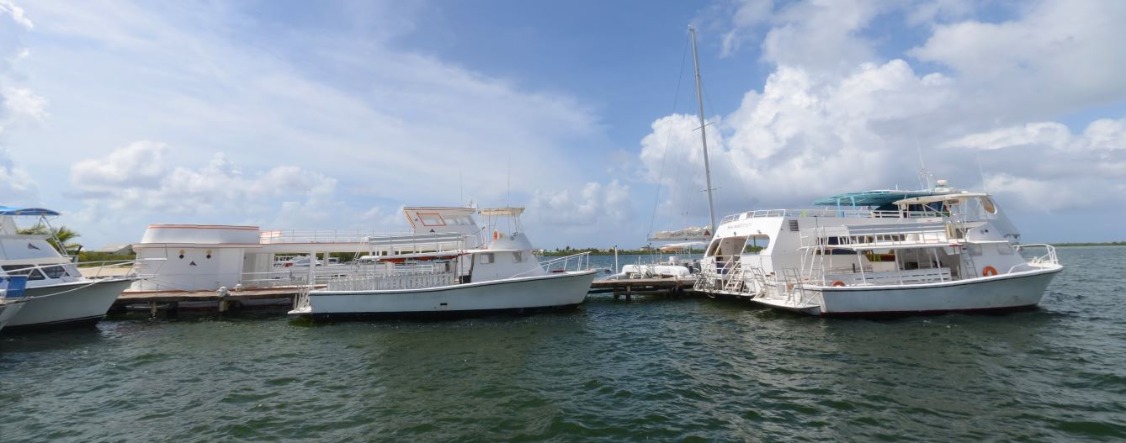 Morgans Harbour Marina