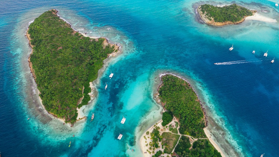 Tobago Cays (St Vincent)