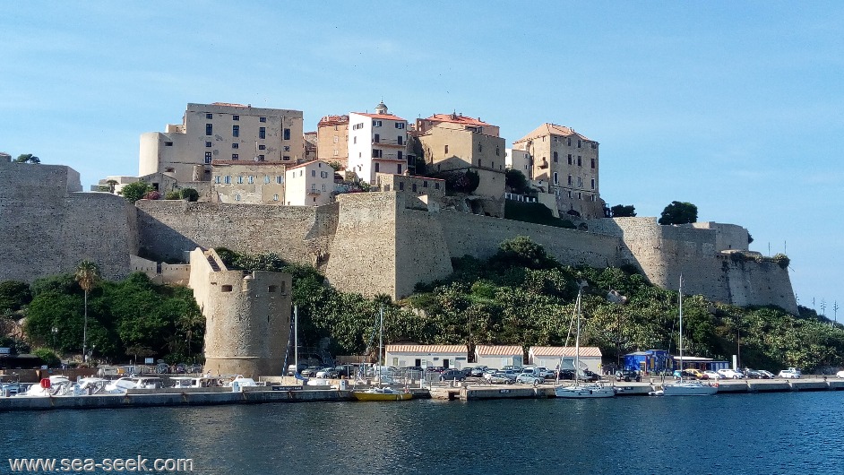 Calvi