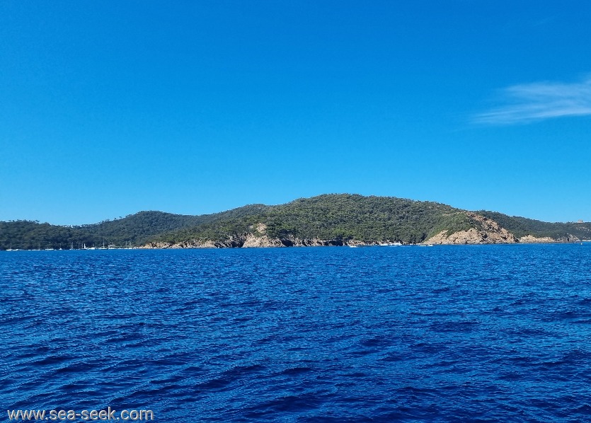 Calanque Longue (Port-Cros)