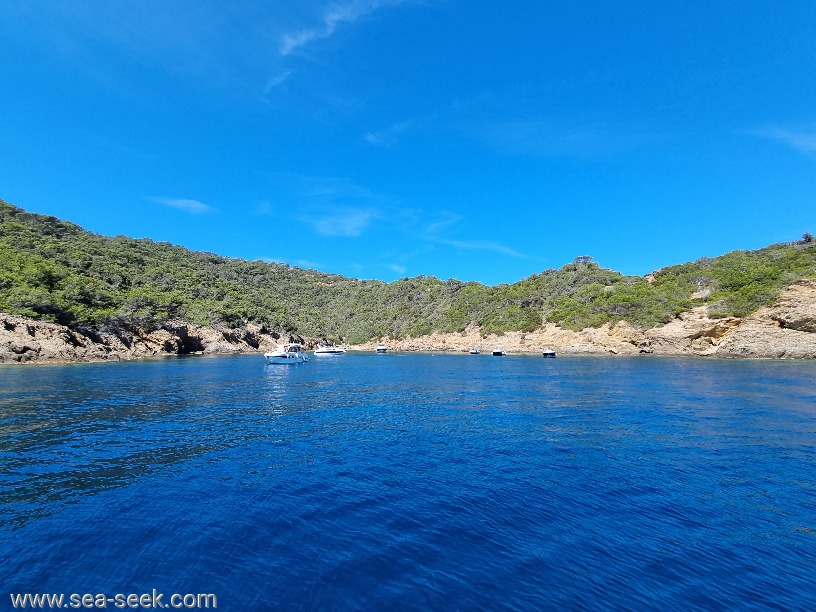 Calanque Longue (Port-Cros)