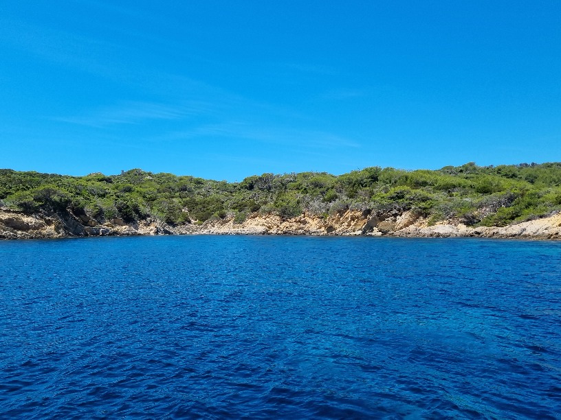 Île de Bagaud (Îles d'Or)