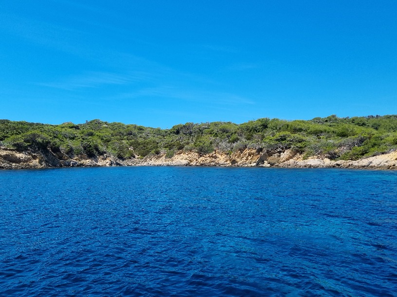 Île de Bagaud (Îles d'Or)