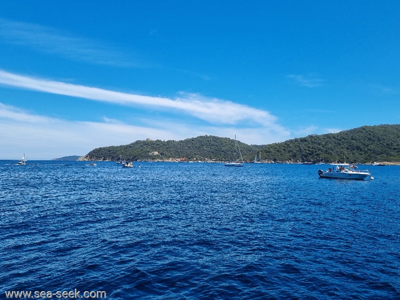 Île de Bagaud (Îles d'Or)