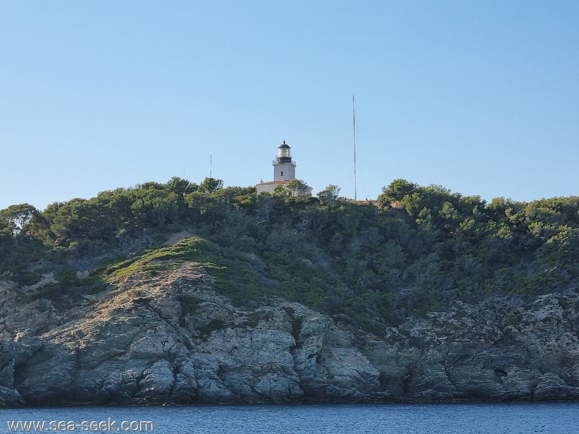 Cap d'Arme (Porquerolles)