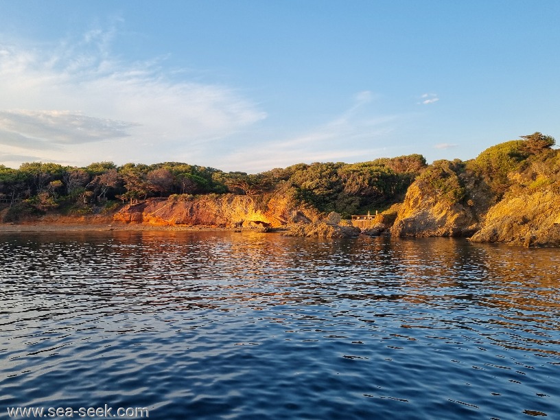 Anse du Parfait ou Port Faye  (Porquerolles)