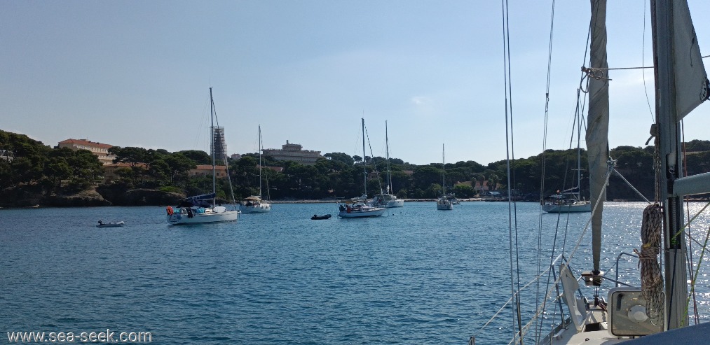 Plage de la Vignette