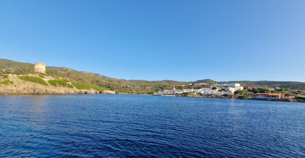 Cala d'Oliva (I. Asinara - Sardegna)