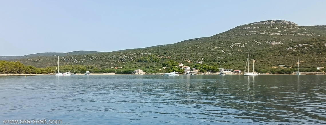 Uvala Saline