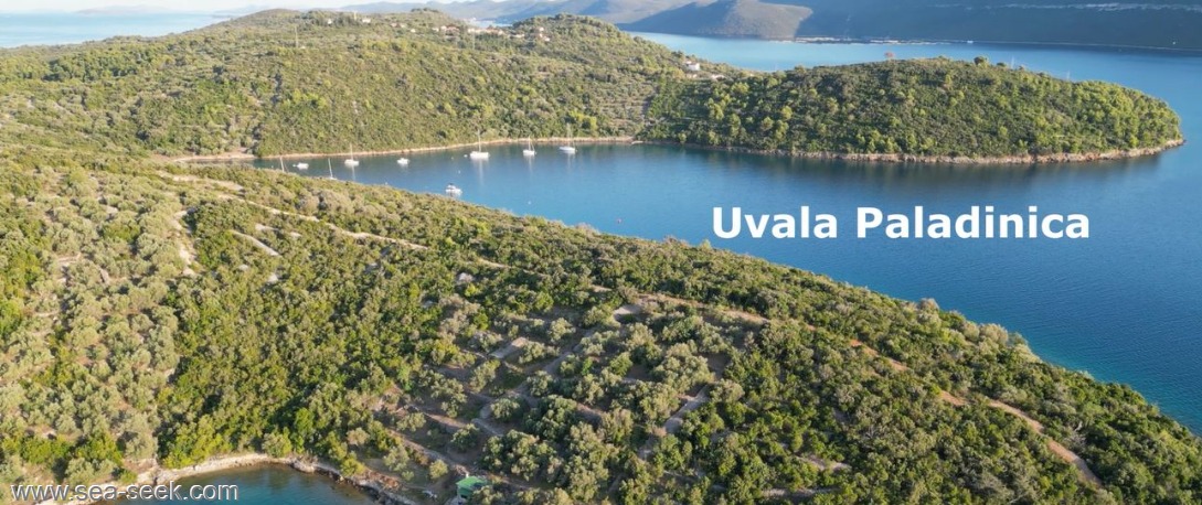 Uvala Paladinica (Rava)