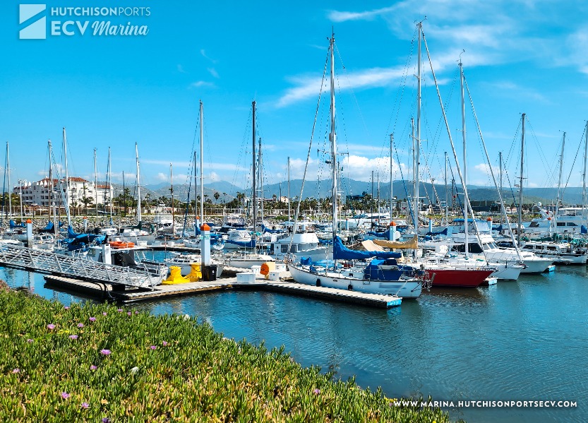 Ensenada Cruiseport Village Marina